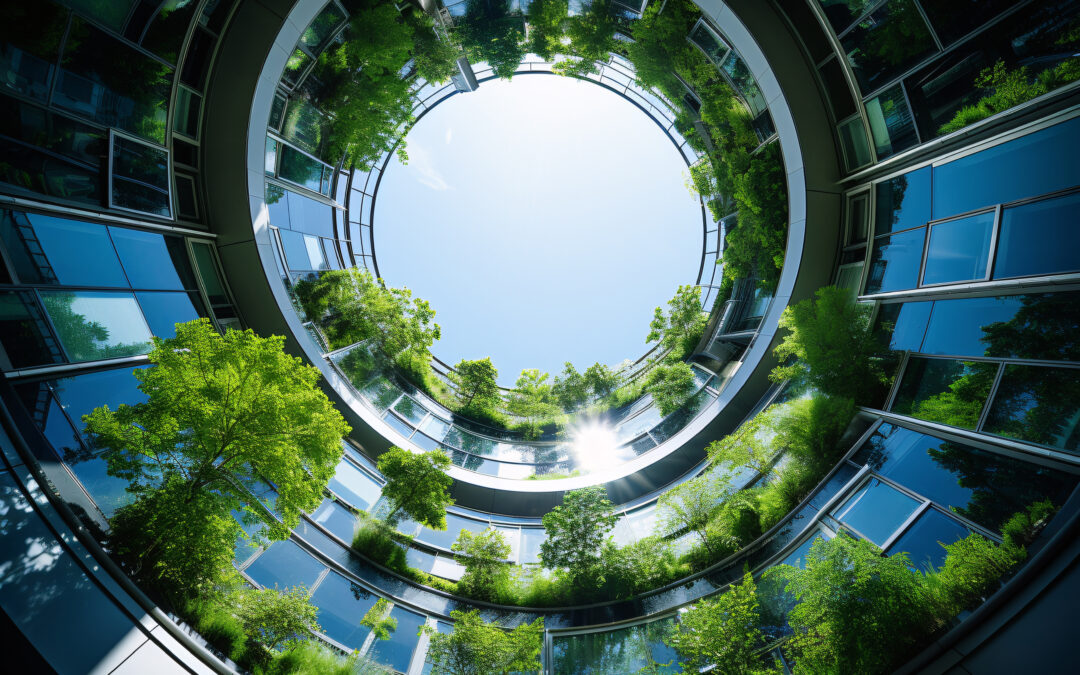 Sustainability at the Speed of Disruption: A Guide to Competitive Transition